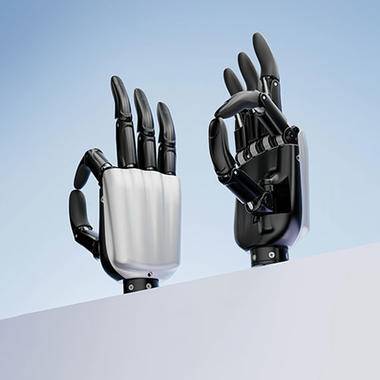 Dexterous Hand Series RY-H2