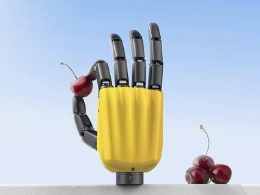 Dexterous Hand Series RY-H2 Pro