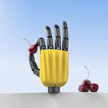 Dexterous Hand Series RY-H2 Pro